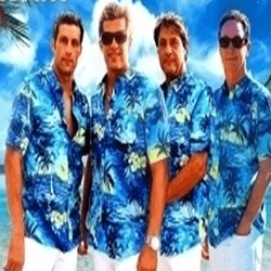 photo-picture-image-beach boys-tribute band-Hire Top Tribute Bands
