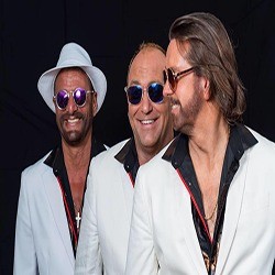 photo-picture-image-bee-gees-tribute-band-cover-band